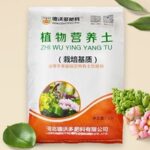 又要吐槽了